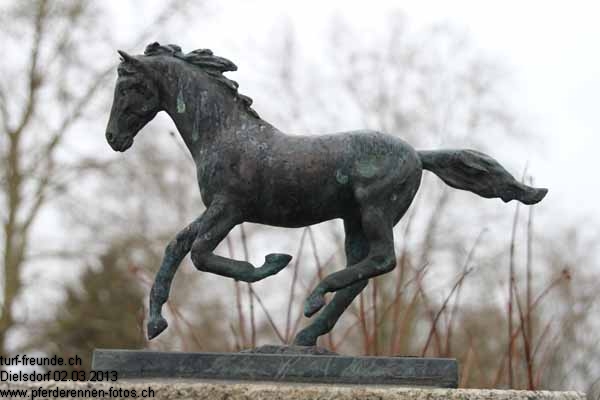 IMG 0007 prot